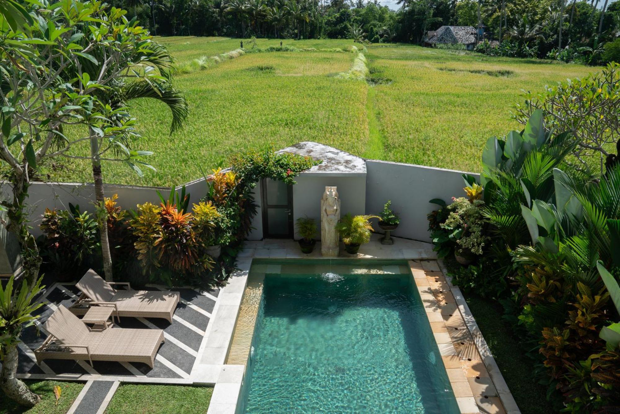 Ananditha Villa Ubud Ricefield Views Exterior photo